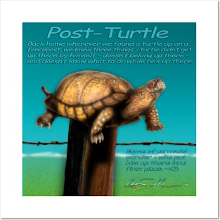 Story of the Post Turtle Posters and Art